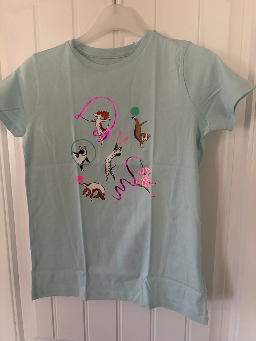 Crewcuts Light Blue Short Sleeve Tee with Playful Animal Graphics